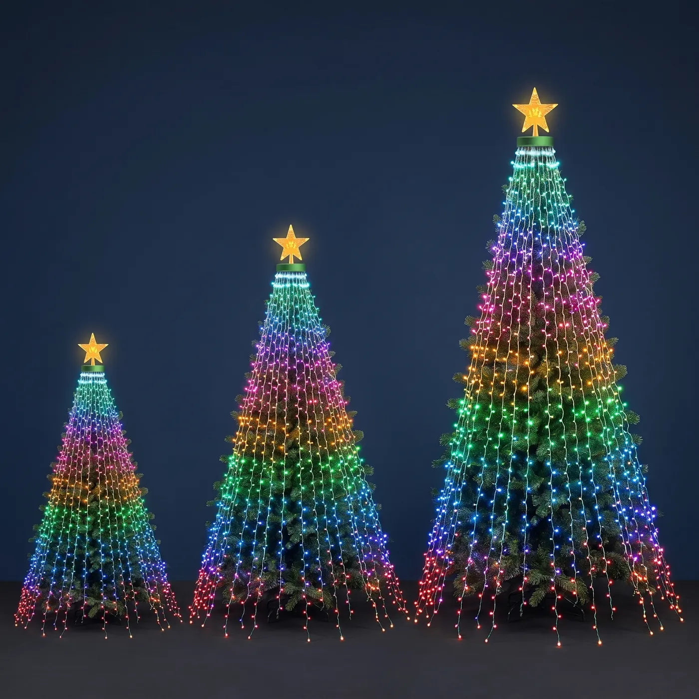 Three trees lit with the 4.9, 5.9 and 6.9 ft sets